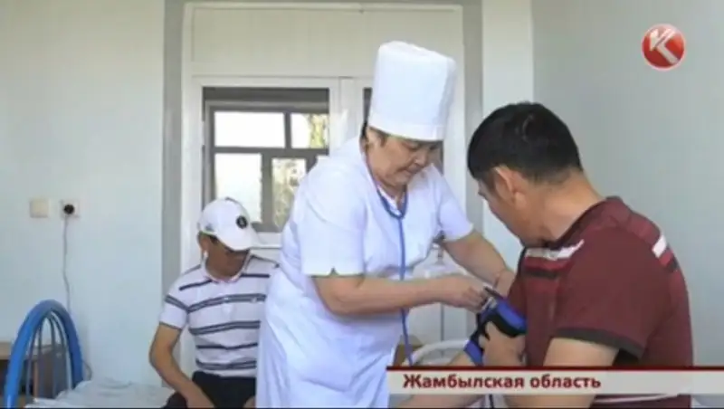 Вирус конго-крымской лихорадки поразил жителей Жамбылской области