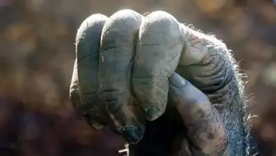 Zakon.kz, фото - Новости Zakon.kz от 24.11.2017 14:51