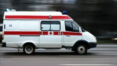 из открытых источников, фото - Новости Zakon.kz от 11.04.2018 19:17