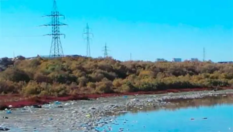 В Актау в районе СОТ «Электрик» нашли труп мужчины, замерзшего у болота