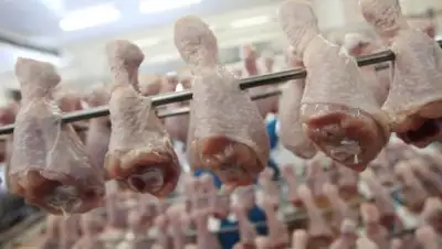 Открытые источники, фото - Новости Zakon.kz от 20.11.2018 21:08