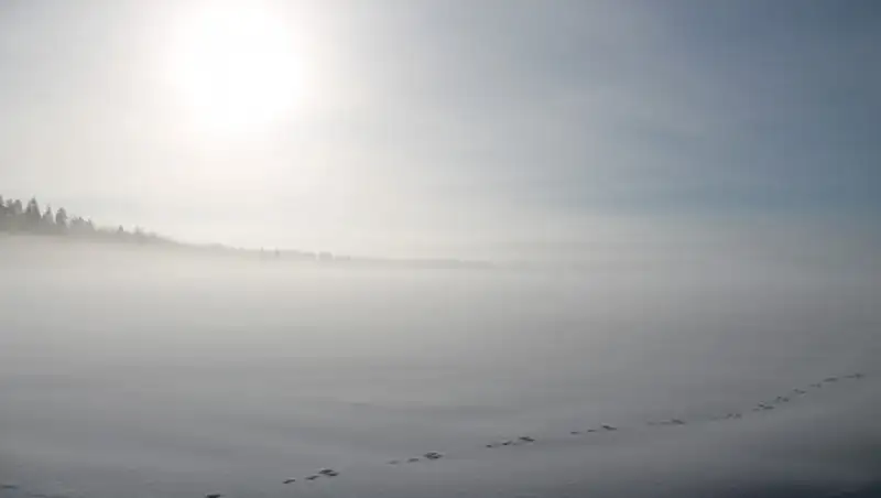 На казахстанско-российской границе нашли останки узбекистанца