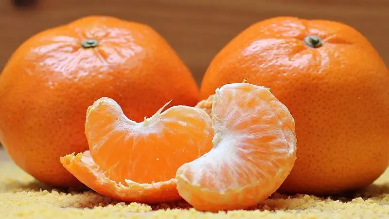 мандарин, полезные фрукты, витамины, фото - Новости Zakon.kz от 08.09.2023 10:43