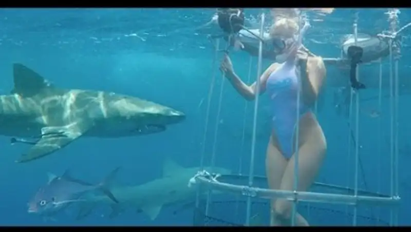 Американскую порноактрису во время съемок укусила акула