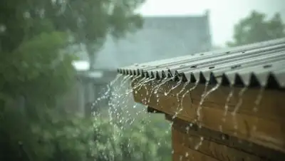 Gismeteo, фото - Новости Zakon.kz от 01.06.2018 15:52