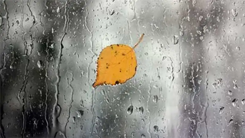 Дожди пройдут сегодня на большей части территории страны