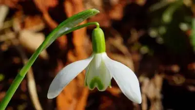 pixnio.com, фото - Новости Zakon.kz от 30.04.2021 09:05