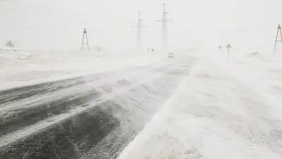 Zakon.kz, фото - Новости Zakon.kz от 04.02.2017 21:01