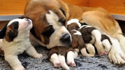 Zakon.kz, фото - Новости Zakon.kz от 07.12.2014 02:29