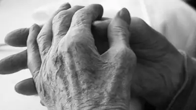 Zakon.kz, фото - Новости Zakon.kz от 24.12.2014 19:35