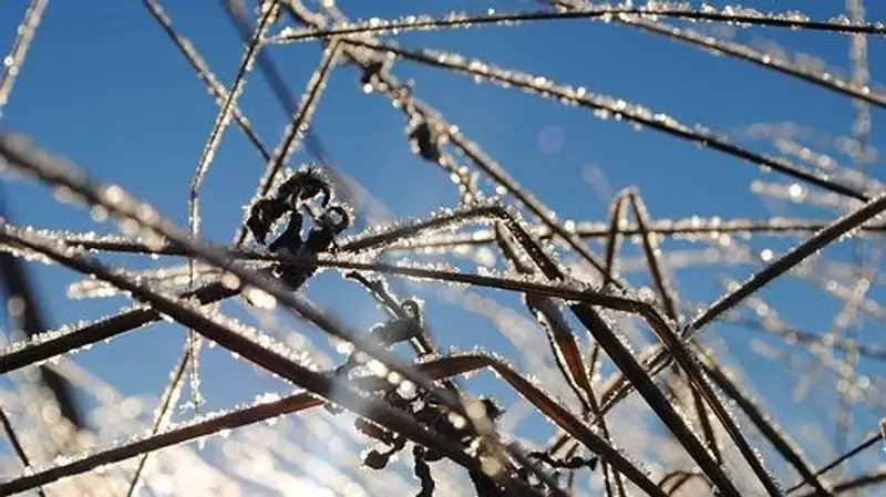 Пыльная буря, заморозки и сильный ветер ожидаются в девяти областях Казахстана