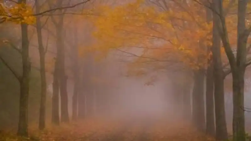8 октября местами по РК ожидаются туман, усиление ветра и гололед.