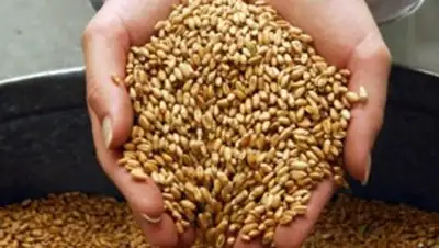 Zakon.kz, фото - Новости Zakon.kz от 13.11.2014 22:03