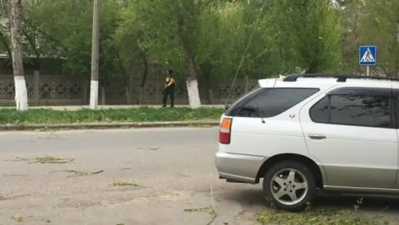 Ветер в Костанае оборвал провода и сломал деревья