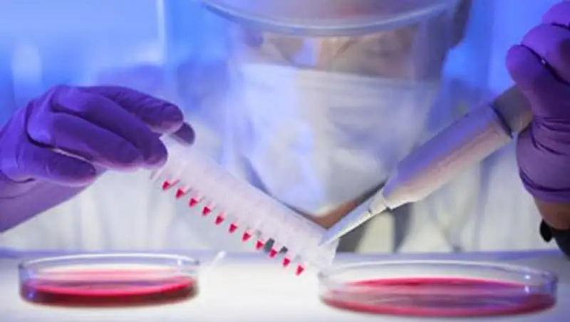 Китайский город Юймэнь целиком закрыли на карантин из-за чумы