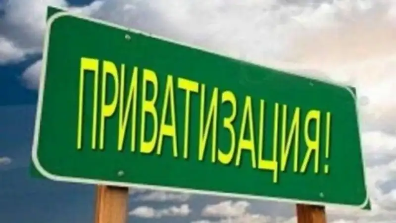 Юрист предложил часть приватизируемых госпредприятий передать безвозмездно детям и пенсионерам