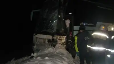 ГУ МЧС России по Нижегородской области, фото - Новости Zakon.kz от 15.12.2019 23:26