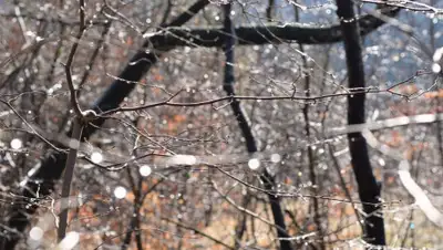 pxhere.com, фото - Новости Zakon.kz от 30.04.2019 09:06