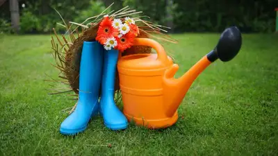 Как работать на даче с пользой для здоровья, фото - Новости Zakon.kz от 12.05.2023 12:49