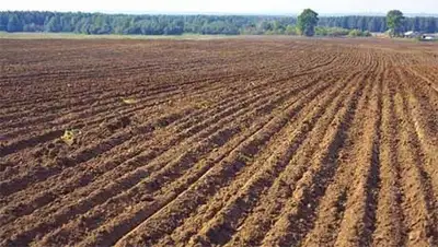 Zakon.kz, фото - Новости Zakon.kz от 17.10.2013 20:40