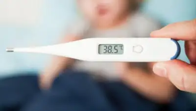 dhcc.eu, фото - Новости Zakon.kz от 29.05.2018 10:40