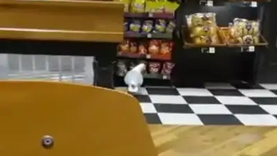 Zakon.kz, фото - Новости Zakon.kz от 06.09.2017 00:25