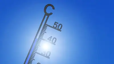 потепление 2021 год, фото - Новости Zakon.kz от 20.01.2022 06:06