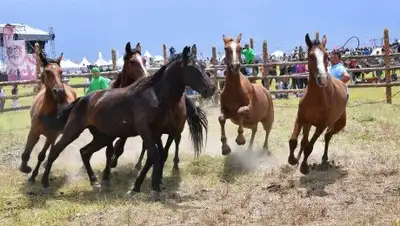 Zakon.kz, фото - Новости Zakon.kz от 26.06.2017 21:08