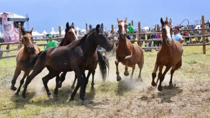 В Алматы в предгорье Алатау прошел международный фестиваль «Ұлы дала рухы»