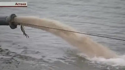 Zakon.kz, фото - Новости Zakon.kz от 04.11.2015 13:52