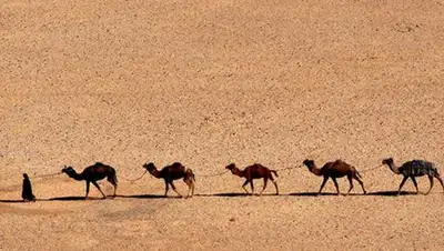 Zakon.kz, фото - Новости Zakon.kz от 07.02.2014 03:55