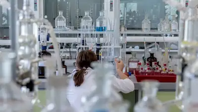 Pixabay, фото - Новости Zakon.kz от 22.11.2019 06:42