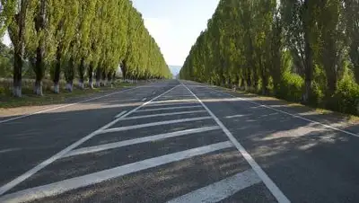 pxfuel.com, фото - Новости Zakon.kz от 23.09.2021 09:18