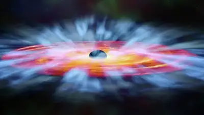 Zakon.kz, фото - Новости Zakon.kz от 29.11.2014 23:57