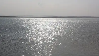 Zakon.kz, фото - Новости Zakon.kz от 01.06.2016 07:01