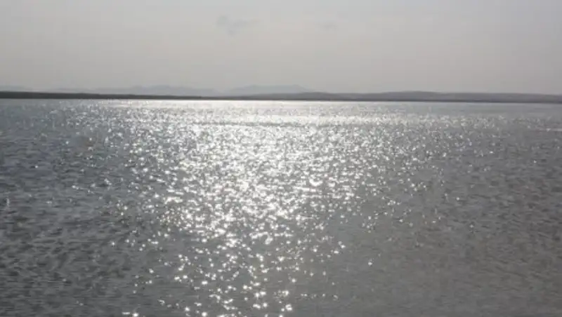 В Жамбылской области на озере Балхаш утонул рыбак