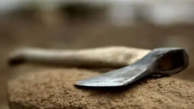 оbzor.io, фото - Новости Zakon.kz от 13.11.2019 22:41