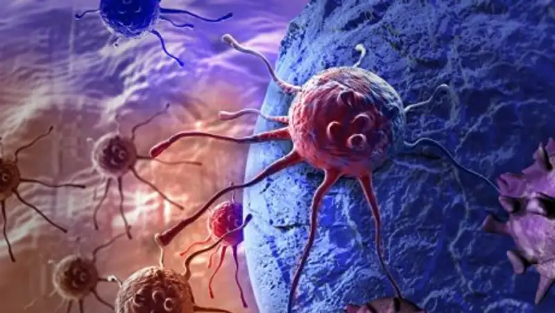 Установлена связь между мобильными телефонами и развитием рака