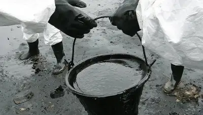 Zakon.kz, фото - Новости Zakon.kz от 24.08.2016 12:44