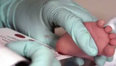 knews.kg, фото - Новости Zakon.kz от 08.06.2021 10:38