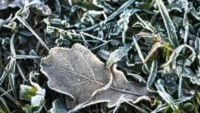 Известия, фото - Новости Zakon.kz от 02.10.2018 09:44