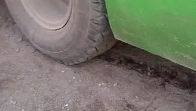 инАлматы, фото - Новости Zakon.kz от 14.03.2020 14:06