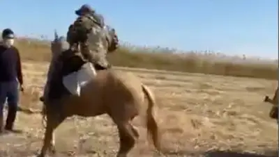 кадр из видео, фото - Новости Zakon.kz от 13.10.2020 13:54