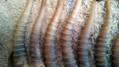 Pixabay, фото - Новости Zakon.kz от 14.10.2020 01:15