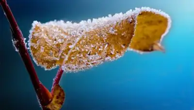 PxHere, фото - Новости Zakon.kz от 26.09.2021 21:32