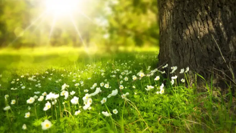 Прогноз погоды на 7 мая дали казахстанские синоптики