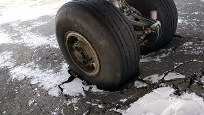 Zakon.kz, фото - Новости Zakon.kz от 17.04.2019 20:56