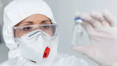 Crello, фото - Новости Zakon.kz от 20.07.2021 08:27