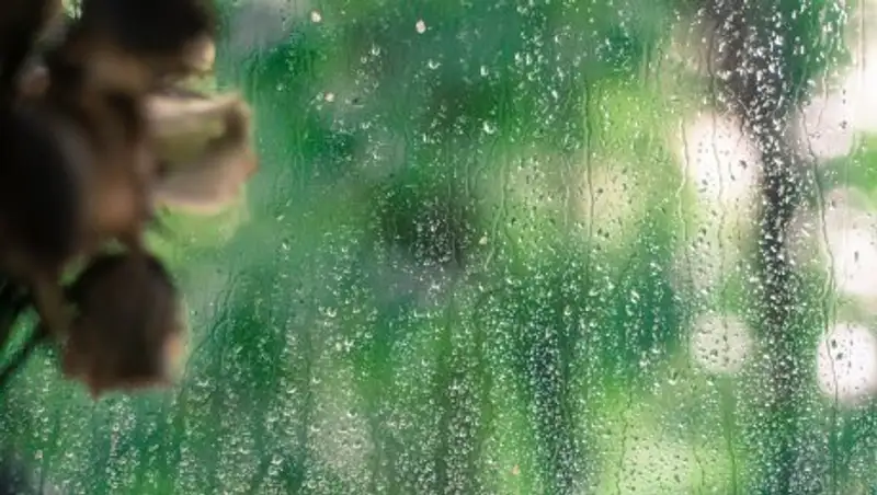 20 июня на большей части Казахстана пройдут дожди с грозами и усилением ветра