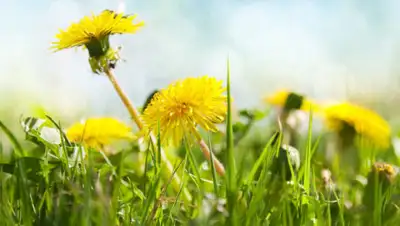 Depositphotos, фото - Новости Zakon.kz от 24.05.2020 06:05